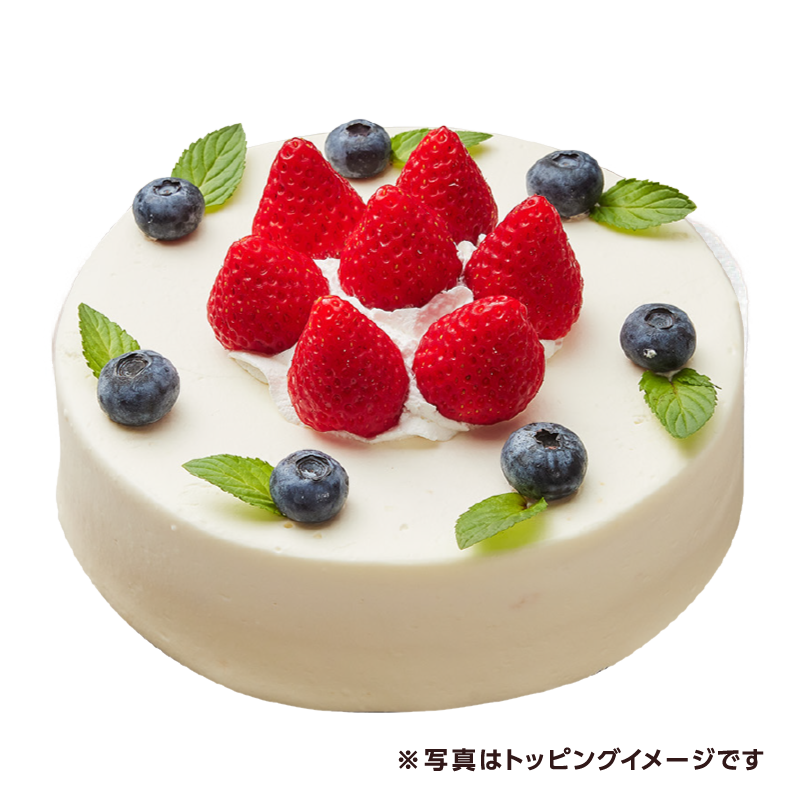 [A16]綿半オリジナル 飾らないケーキ