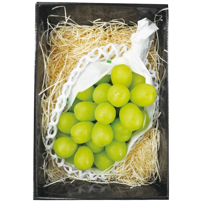 お歳暮 マルマン 長野県産 シャインマスカット 【12月上旬以降順次発送】 [直送商品](9808-053)