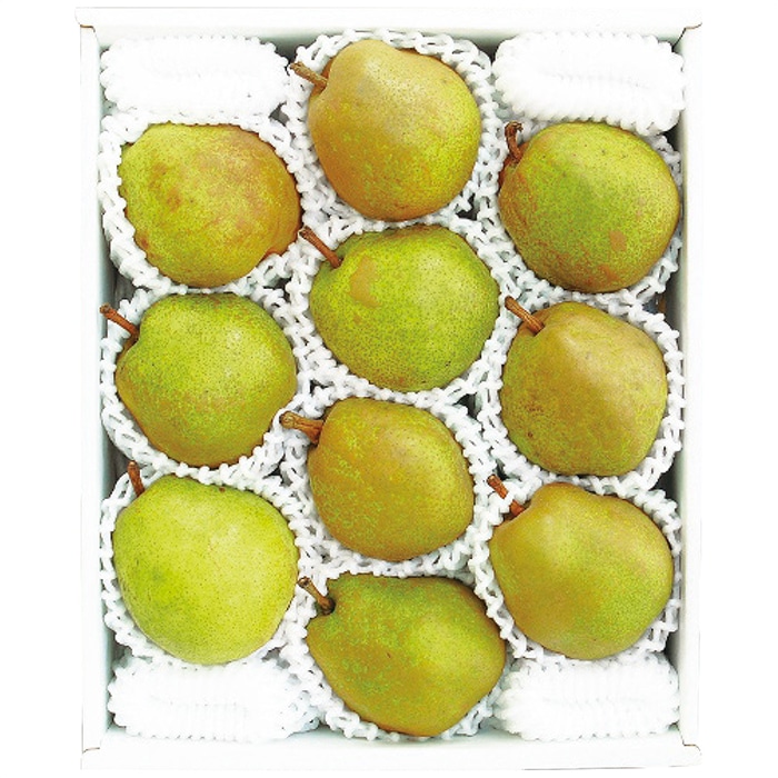 お歳暮 丸松青果 いずみ会の山形産ラ・フランス約3.2kg 【11月中旬以降順次発送】 [直送商品](9830-036)