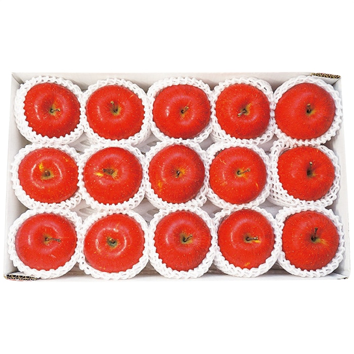 お歳暮 大阪南部合同青果 長野県産 信州サンふじ 約3.4kg 【12月上旬以降順次発送】 [直送商品](9831-052)