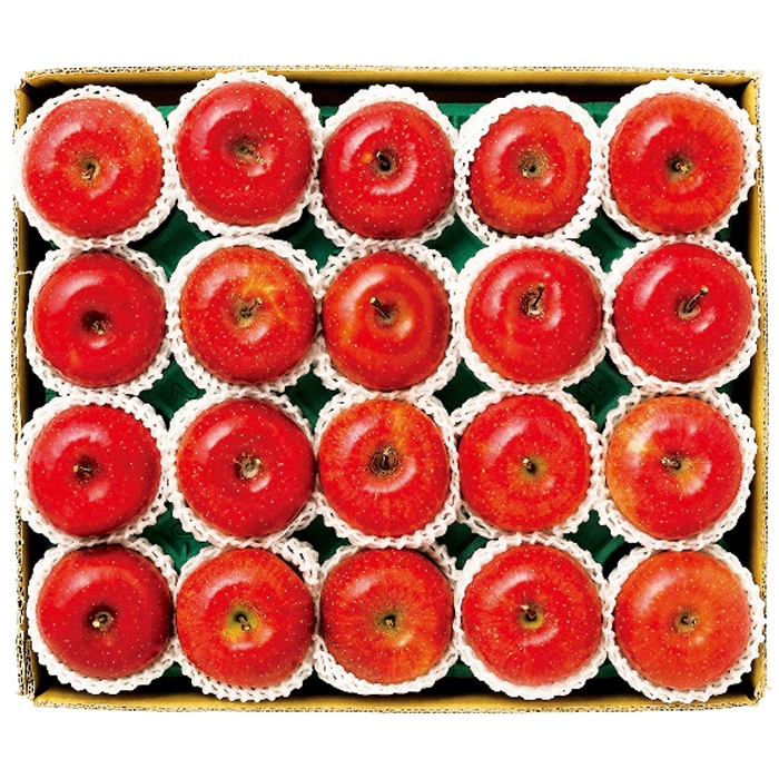 お歳暮 大阪南部合同青果 長野県産 信州サンふじ 約4.8kg 【12月上旬以降順次発送】 [直送商品](9831-064)