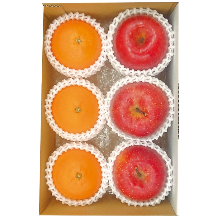 お歳暮 マルマン 愛媛県産 紅まどんな＆青森県産 蜜入りサンふじ 【12月上旬以降順次発送】 [直送商品](9832-016)