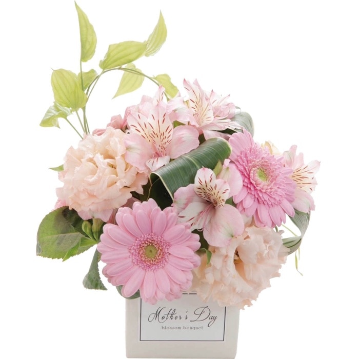 [直送商品]母の日 5/8-10お届け アークフラワースタジオ 生花ラウンドアレンジ 【配送指定日不可】 (1852-365)