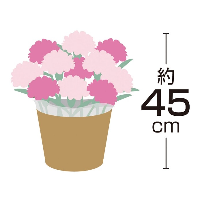 [直送商品]母の日 5/8-10お届け レイール あじさい コットンキャンディ5号 【配送指定日不可】 (1853-913)