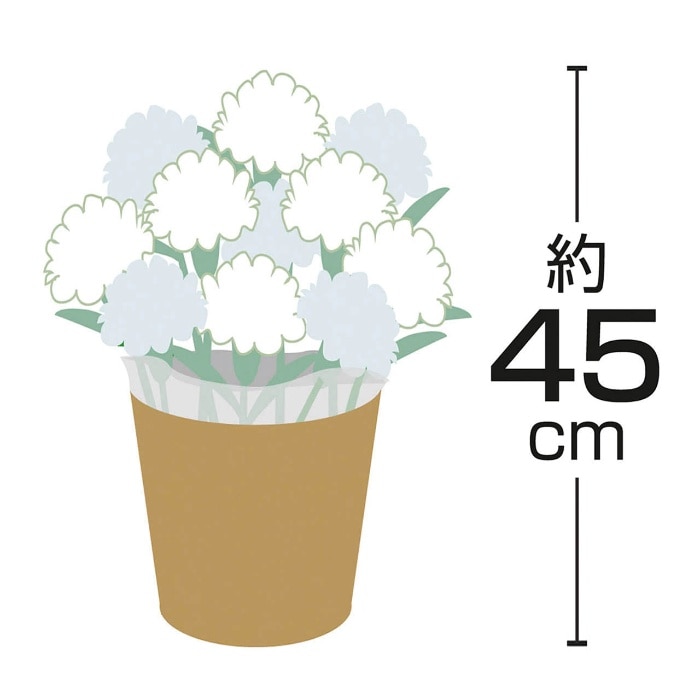 [直送商品]母の日 5/8-10お届け レイール マダガスカルジャスミン4号 【配送指定日不可】 (1853-937)