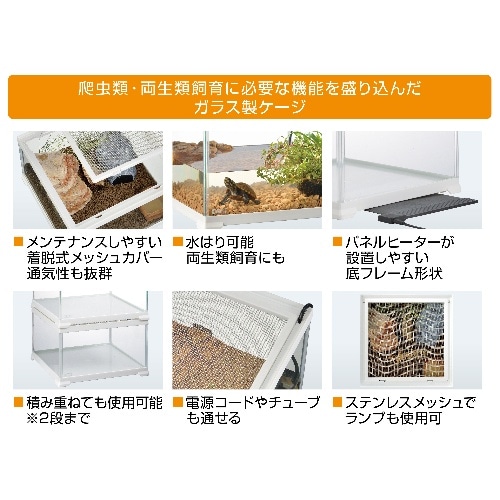 GEX(ジェックス) エキゾテラ 爬虫類 飼育ケージ レオパ飼育キットM: で