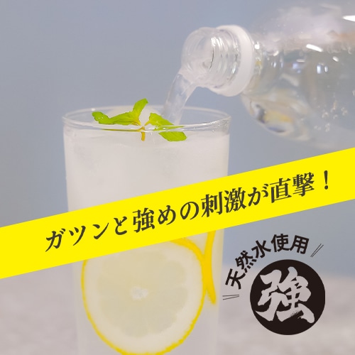 [1ケース]ラベルレスレモン炭酸水 1L×12本