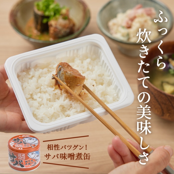 [取寄10][まとめ買い]ふっくら粒立ちごはん 180g 【1箱/36個入り】 [4589458490589]