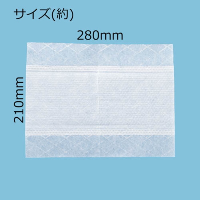 [取寄10][まとめ買い]【36個セット】超厚手フローリング用ドライシート [4589458460056]