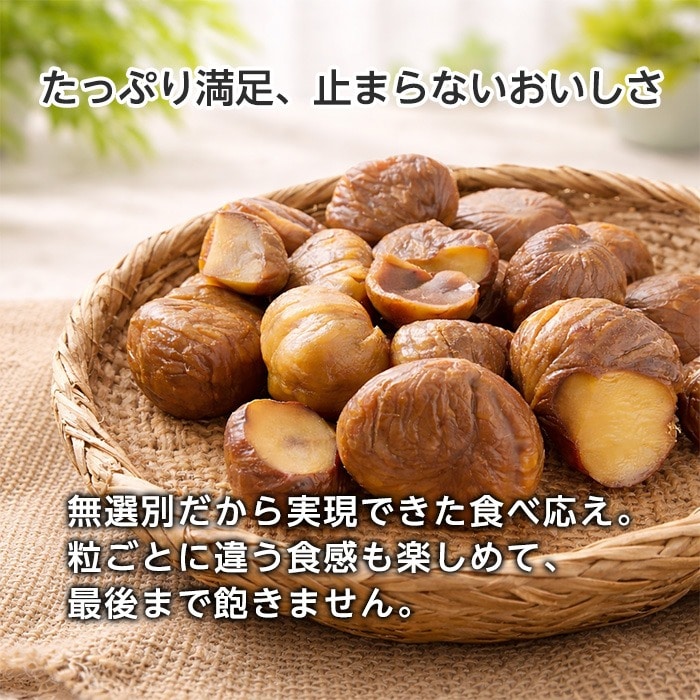 [まとめ買い]【10袋セット】無選別むき甘栗120g