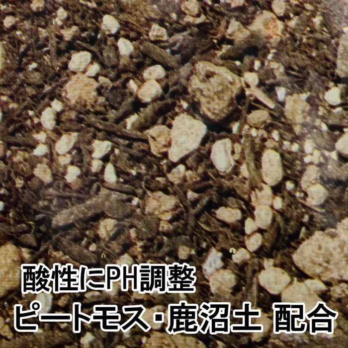 [取寄10][まとめ買い]【5個セット】ブルーベリーの土 14L [4589458461824]