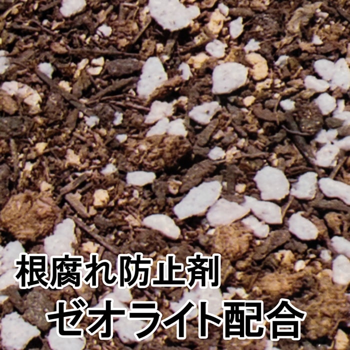 [取寄10][まとめ買い]【5個セット】観葉植物の土 14L [4589458461794]