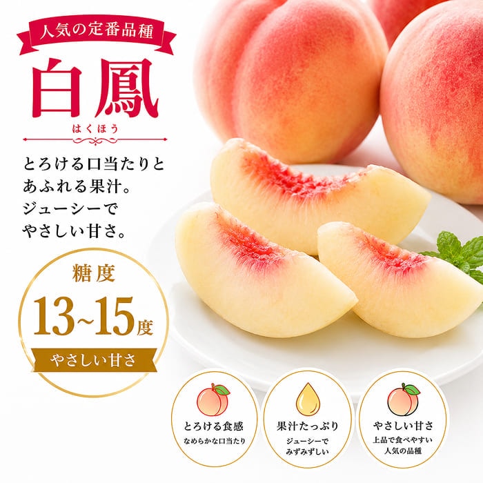 [予約直送]山梨県産 もも 特秀 白鳳・白桃等 約3kg 6～10玉 【綿半お中元】【7月より順次発送】【配送指定日不可】