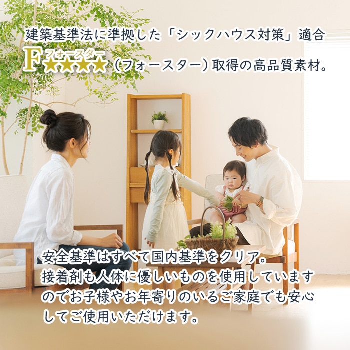 隙間収納棚 日本製 冷蔵庫横ハイタイプ 奥行46cm (幅15～20cm、高さ178cm～200cm)