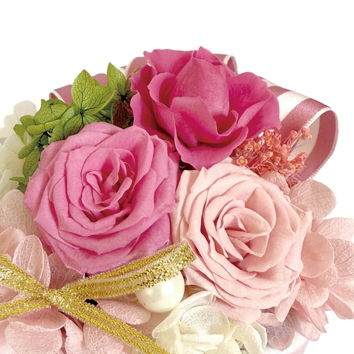 [直送商品]母の日 5/8-10お届け スープ ギフトアレンジメント エクラン ピンク 【配送指定日不可】 (1853-759)