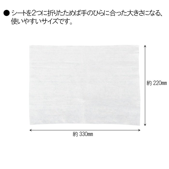 車どこでもまるっとお掃除ウェット