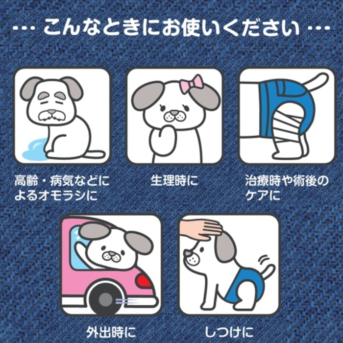 [取寄10][まとめ買い]【6個セット】ジーンズ風パンツM [4976555850659]