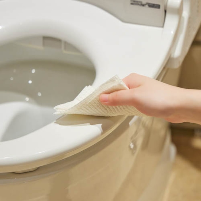 [取寄10][まとめ買い]【36個セット】しっかり極厚トイレクリーナー 10枚 [4589458460032]