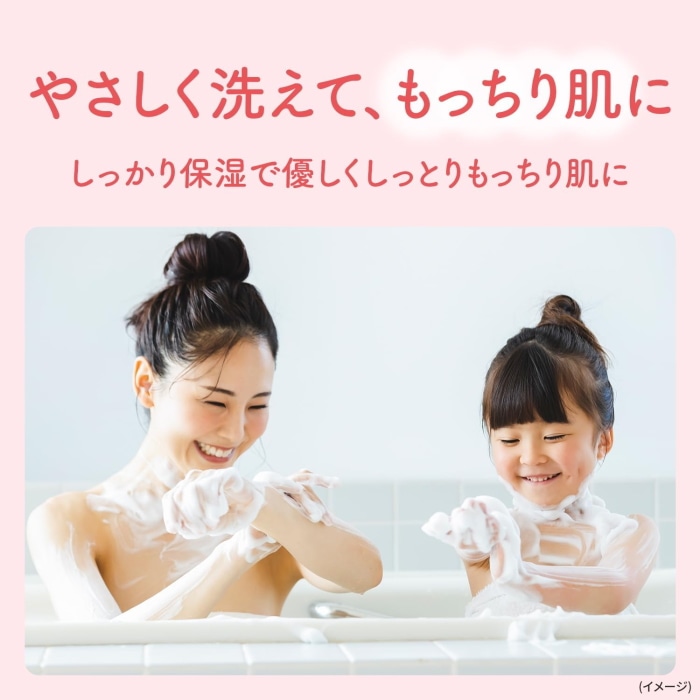 [取寄10][まとめ買い]【18個セット】ユニリーバ ダヴBWプレミアムモイスチャーケア詰替 [4902111775227]