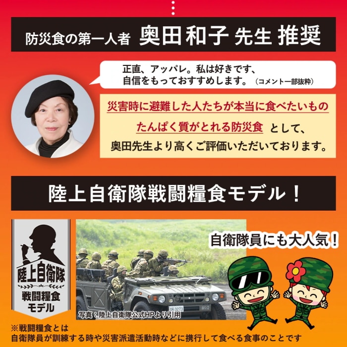 [直送商品]日本ハム 防災食 煮込みハンバーグ(20袋入) (1021-023)