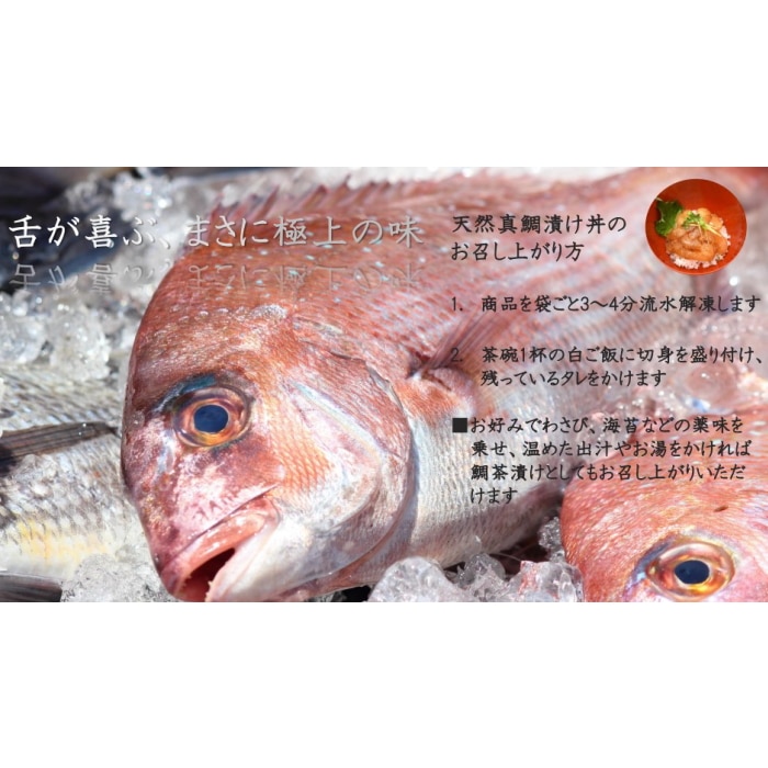 玄界灘産天然真鯛の漬け丼 (6人前) 【綿半お歳暮】 【11/15～12/26順次お届け】[冷凍][直送商品]