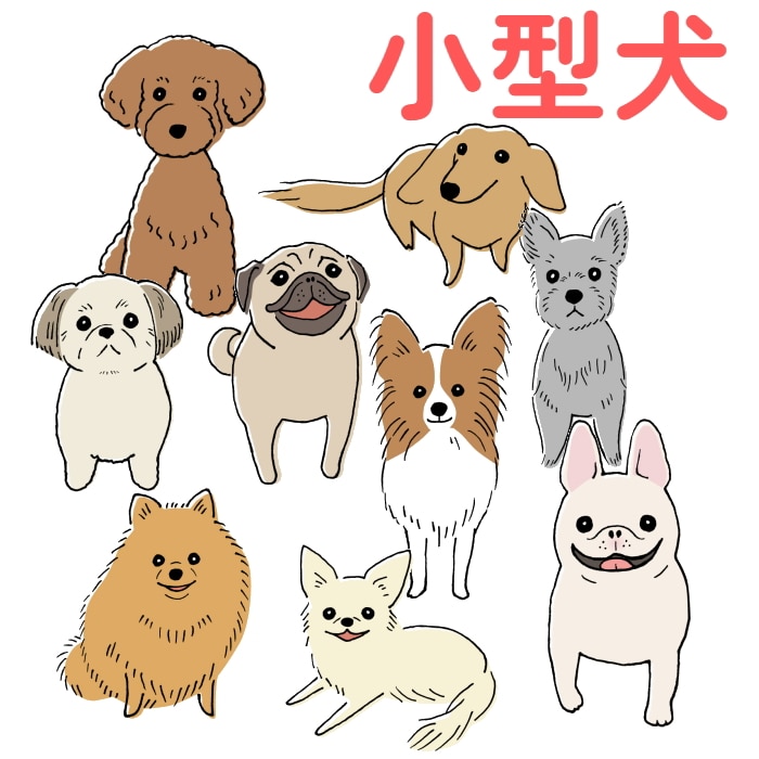 [取寄10][まとめ買い]【6個セット】小諸動物病院 やわらかデンタルガム 30本 [4589458485974]