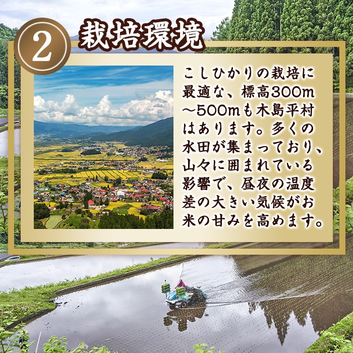 [直送10]木島平産 こしひかり 竹内農園 5kg 【配送指定日不可】