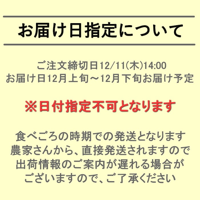 送料無料 長野県志賀高原産 サンふじりんご 自家用 10kg 26～40玉 【綿半お歳暮】【12月上旬～12月下旬順次発送】【配送指定日不可】[直送商品]