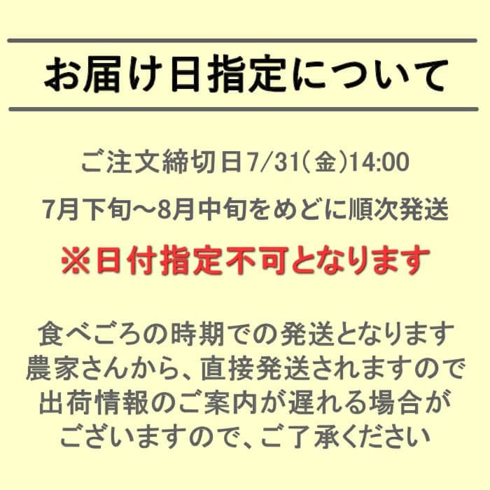 [予約直送]長野県産 シャインマスカット 種無し巨峰ぶどう 各1房 詰め合わせセット 送料無料 【綿半お中元】【7月後半～8月中旬順次発送】【配送指定日不可】