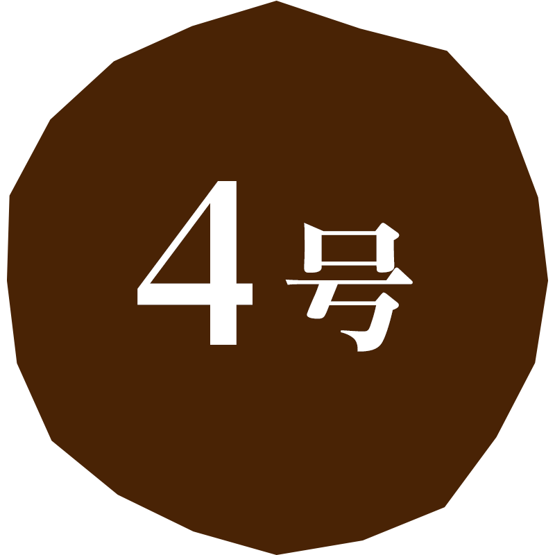 [A45]ヤマザキ クリスマス　デコレーションケーキ