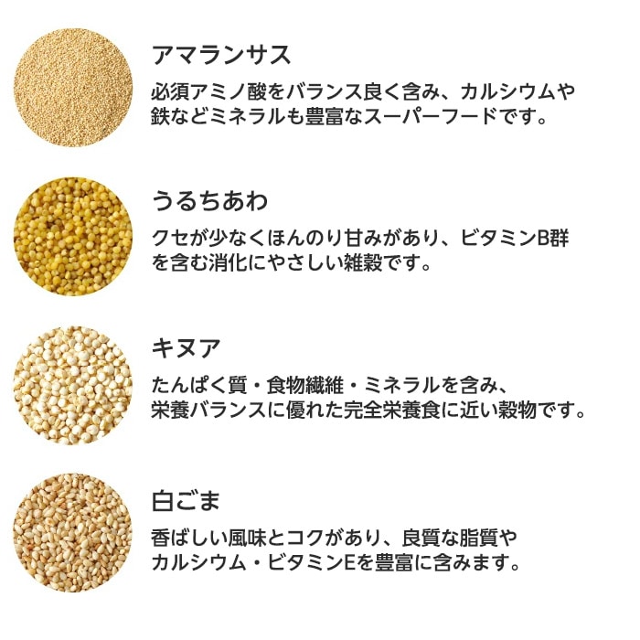 [まとめ買い]【2袋セット】十六穀ごはん 25g×22包入り 総重量1.1kg