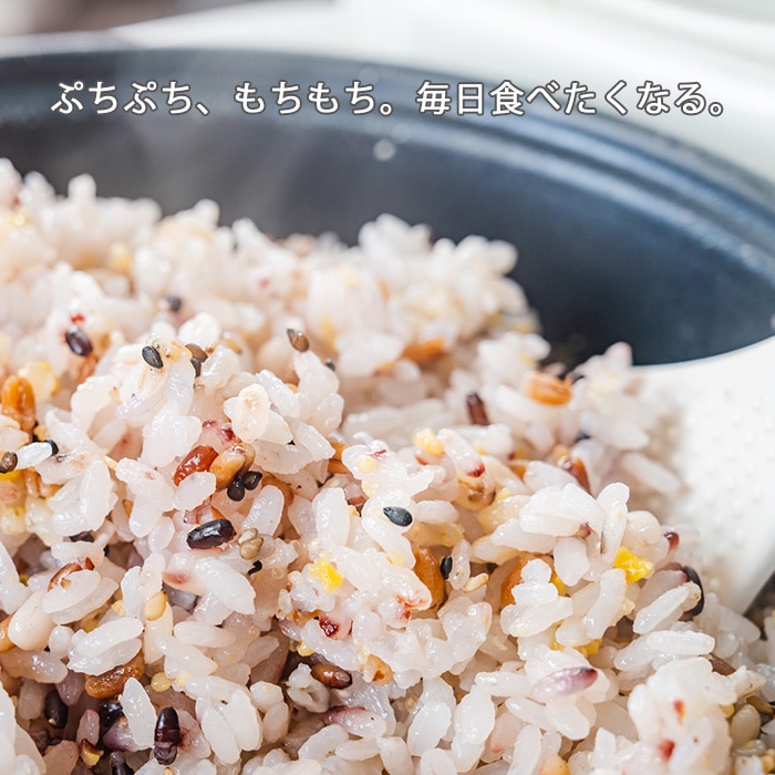 [まとめ買い]【2袋セット】十六穀ごはん 25g×22包入り 総重量1.1kg
