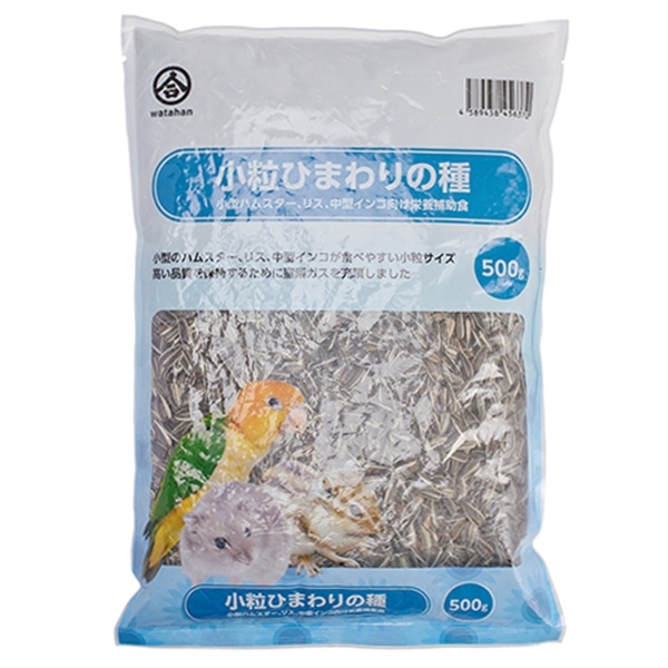 小粒ひまわりの種