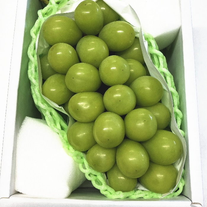 予約 シャインマスカット7房 【公式通販】