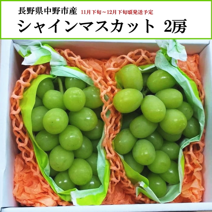 [直送商品]長野県中野市産 シャインマスカット ぶどう 2房 【綿半お歳暮】【11月下旬～12月下旬順次発送】【配送指定日不可】