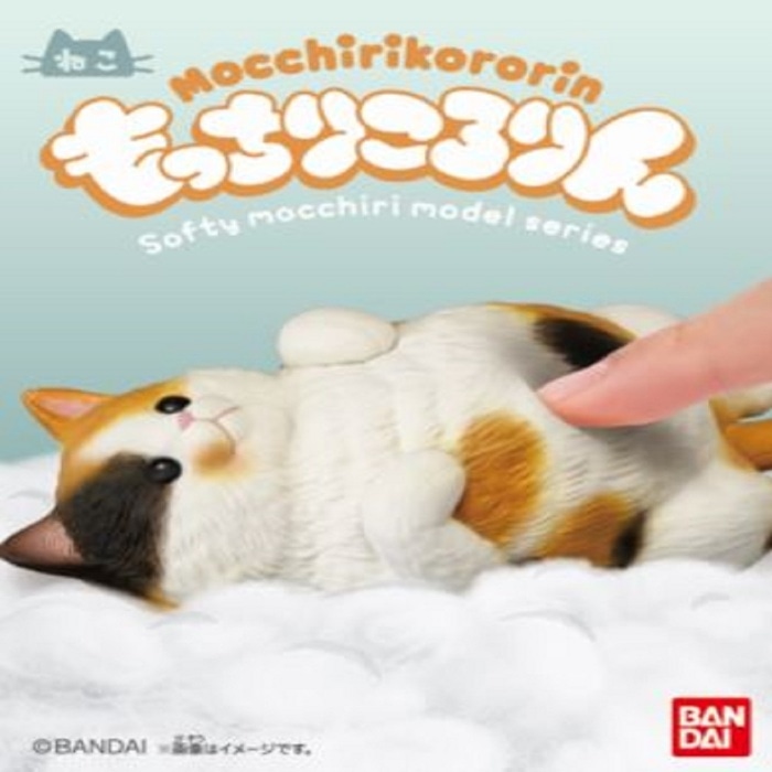 もりりんさん☆8月のお取り置き水のいきもたちと猫さん Reposts by