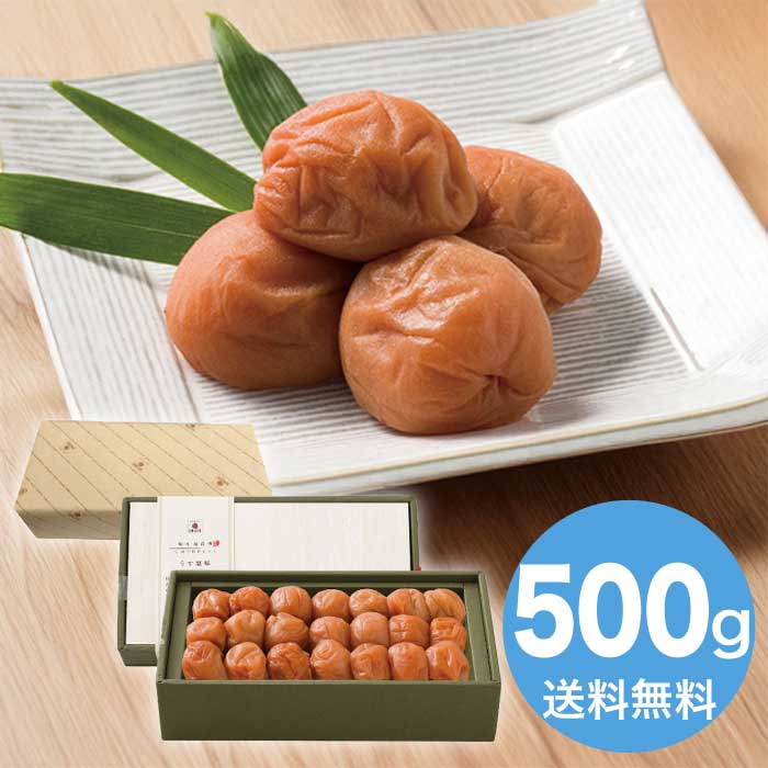 お歳暮 中田食品 梅道 紀州南高梅うす塩味 [直送商品](9836-038)