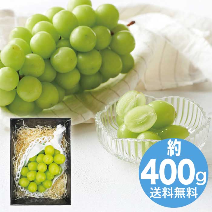 お歳暮 マルマン 長野県産 シャインマスカット 【12月上旬以降順次発送】 [直送商品](9808-053)