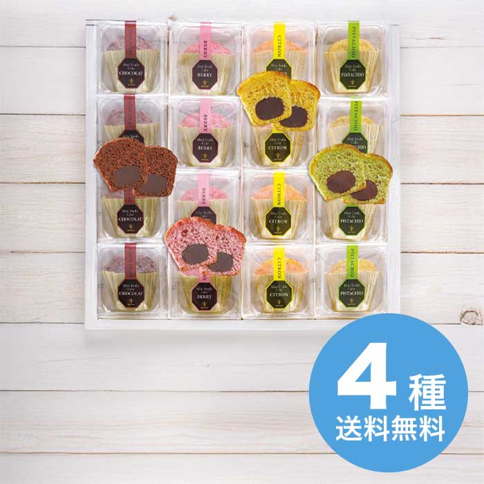 お歳暮 ブールミッシュ ミニトリュフケーキ MTF-C [直送商品](9905-061)