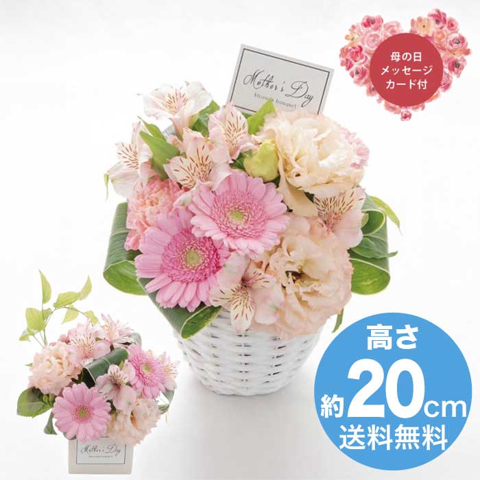 [直送商品]母の日 5/8-10お届け アークフラワースタジオ 生花ラウンドアレンジ 【配送指定日不可】 (1852-365)