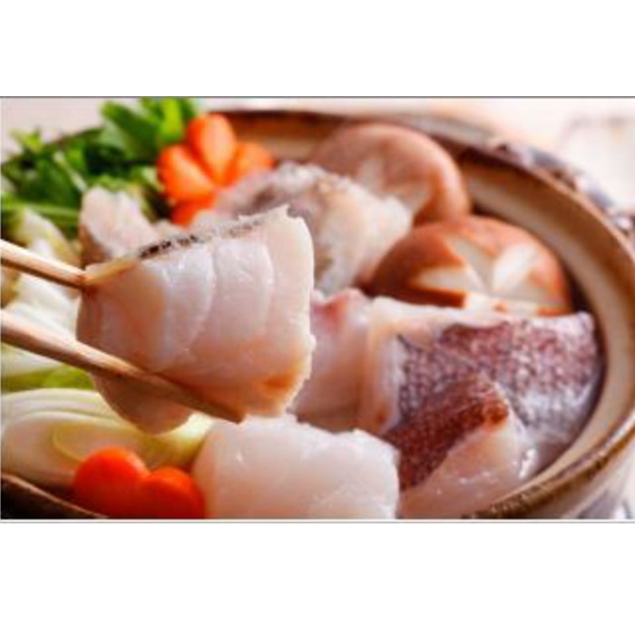 長崎県産天然クエ鍋 【綿半お歳暮】 【11/15～12/26順次お届け】[冷凍][直送商品]