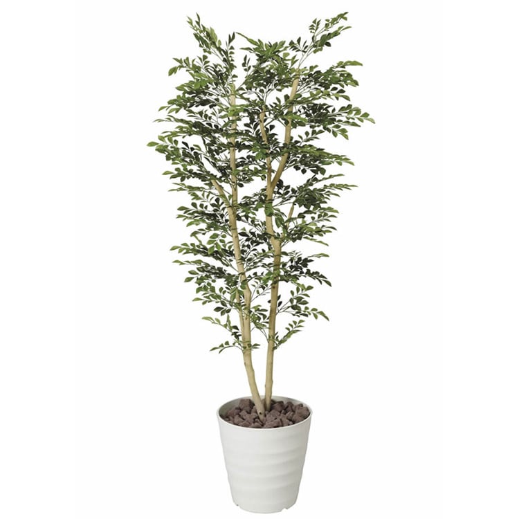 酸化チタン光触媒 トネリコ H180