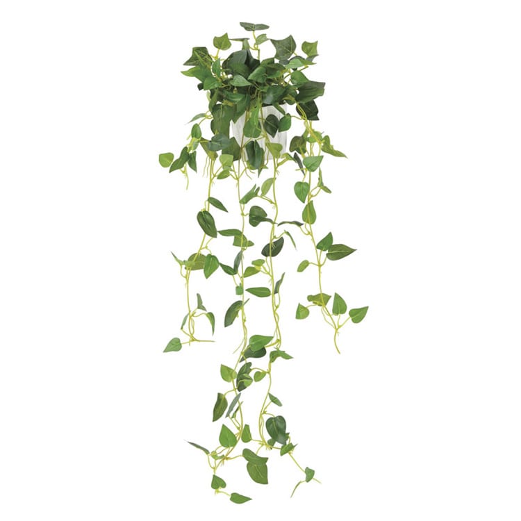 酸化チタン光触媒 壁掛けタイプ フィロ