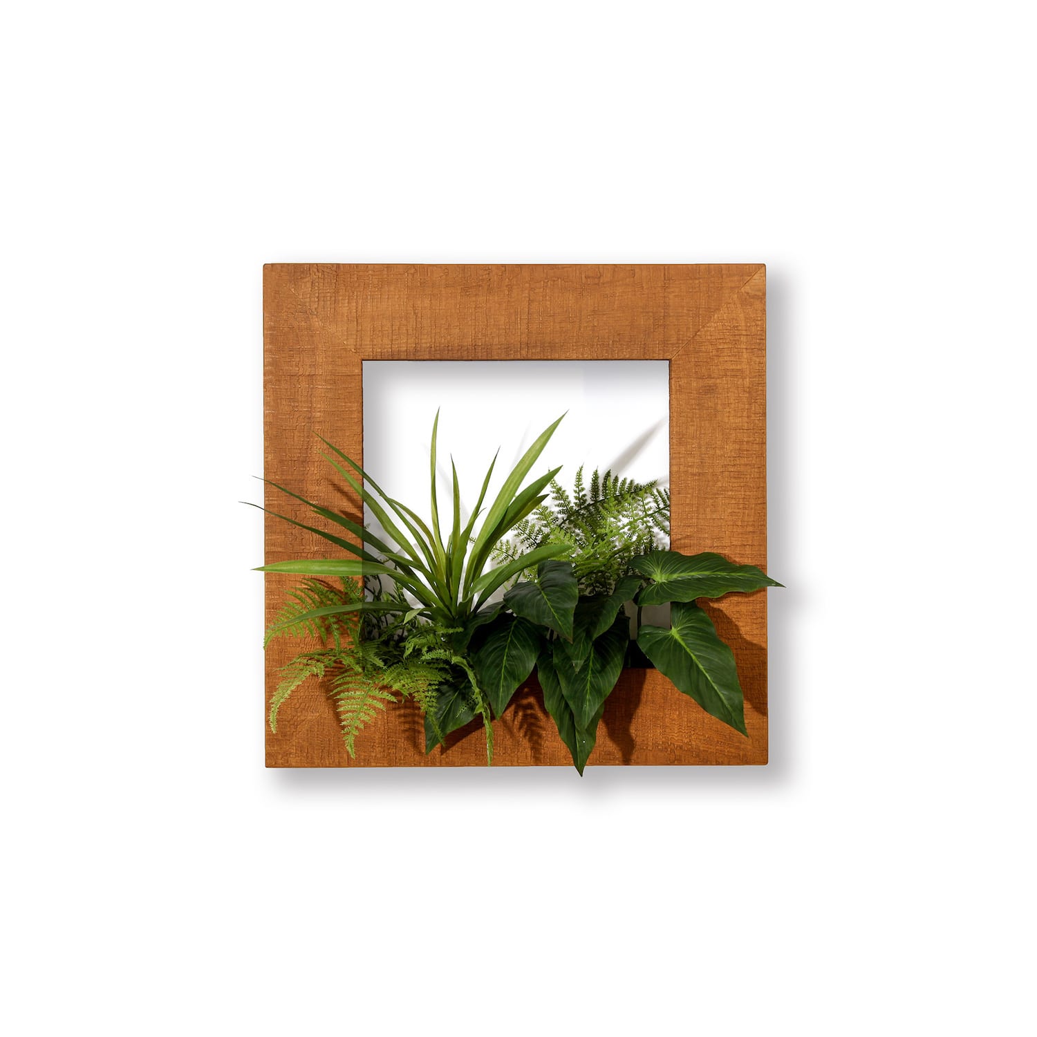 マイギャラリー M （フェイクグリーン）