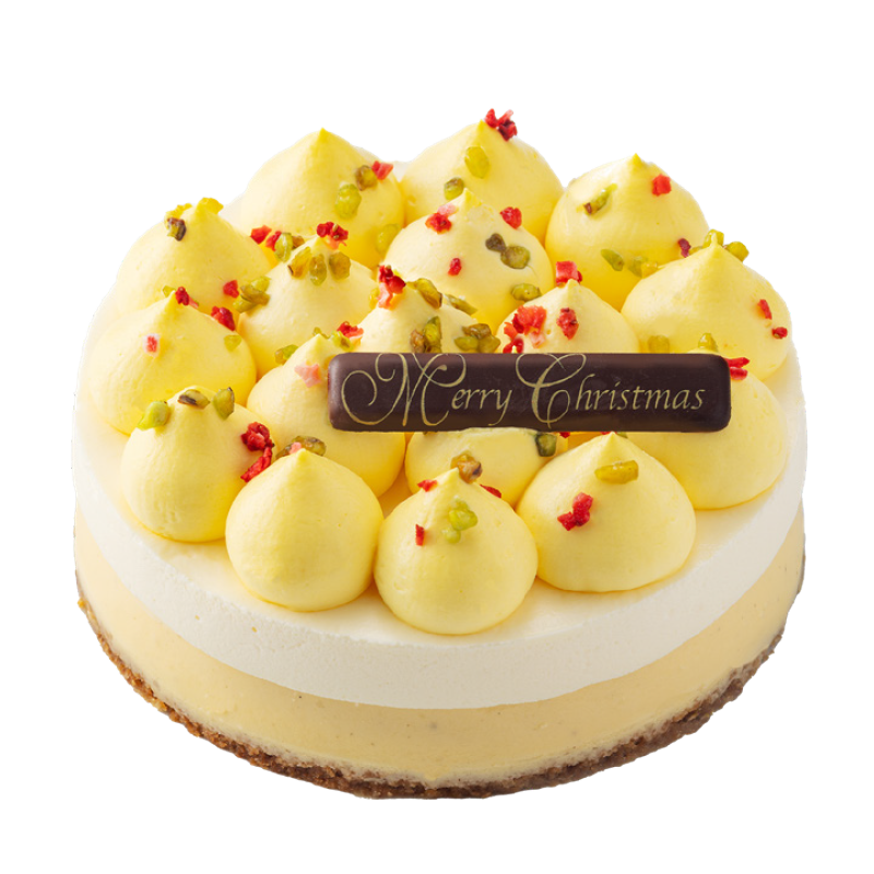 [A04]プリンスホテル パーフェクトチーズケーキ