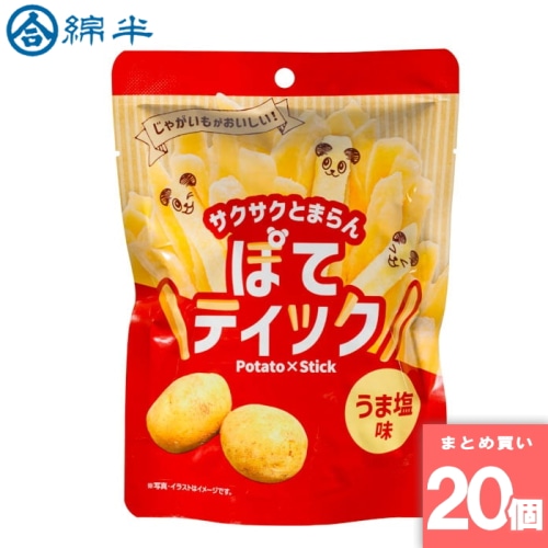 [取寄10][まとめ買い]【20個セット】ぽてティックフライドポテト 塩味 45g [4589458500608]