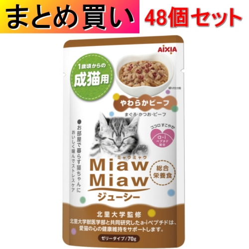 [まとめ買い]【48個セット】MiawMiaw ジューシーやわらかビーフ 70g