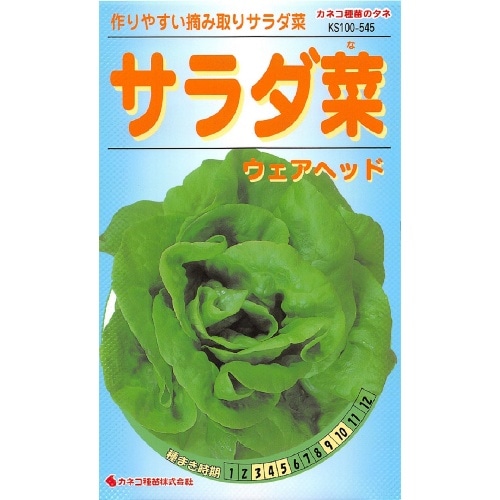 カネコ サラダ菜 0.8ml