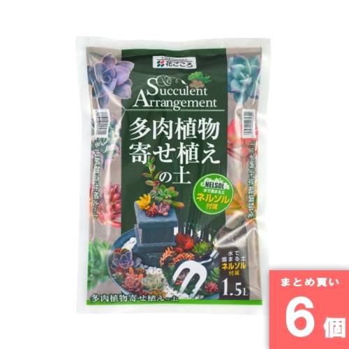 [取寄10][まとめ買い]【6個セット】多肉植物寄せ植えの土1.5L [4977445205801]