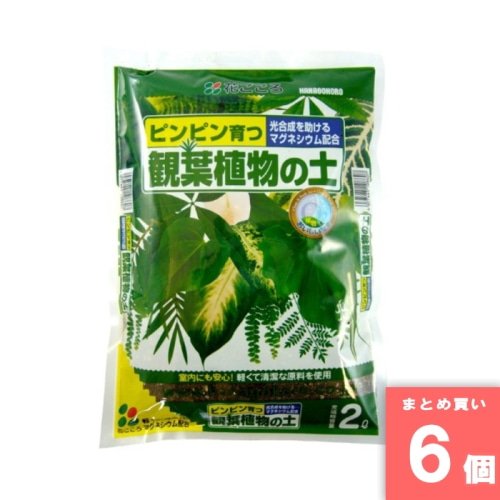 [取寄10][まとめ買い]【6個セット】観葉植物の土 2L [4977445108607]